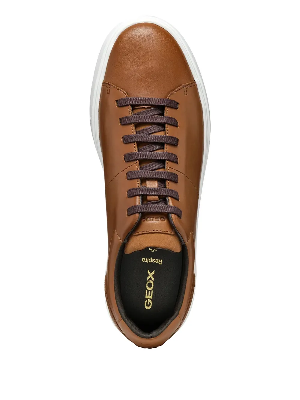 Geox Baltmoore leather lace-up sneakers Brown