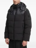 Joop! hooded puffer jacket - Black