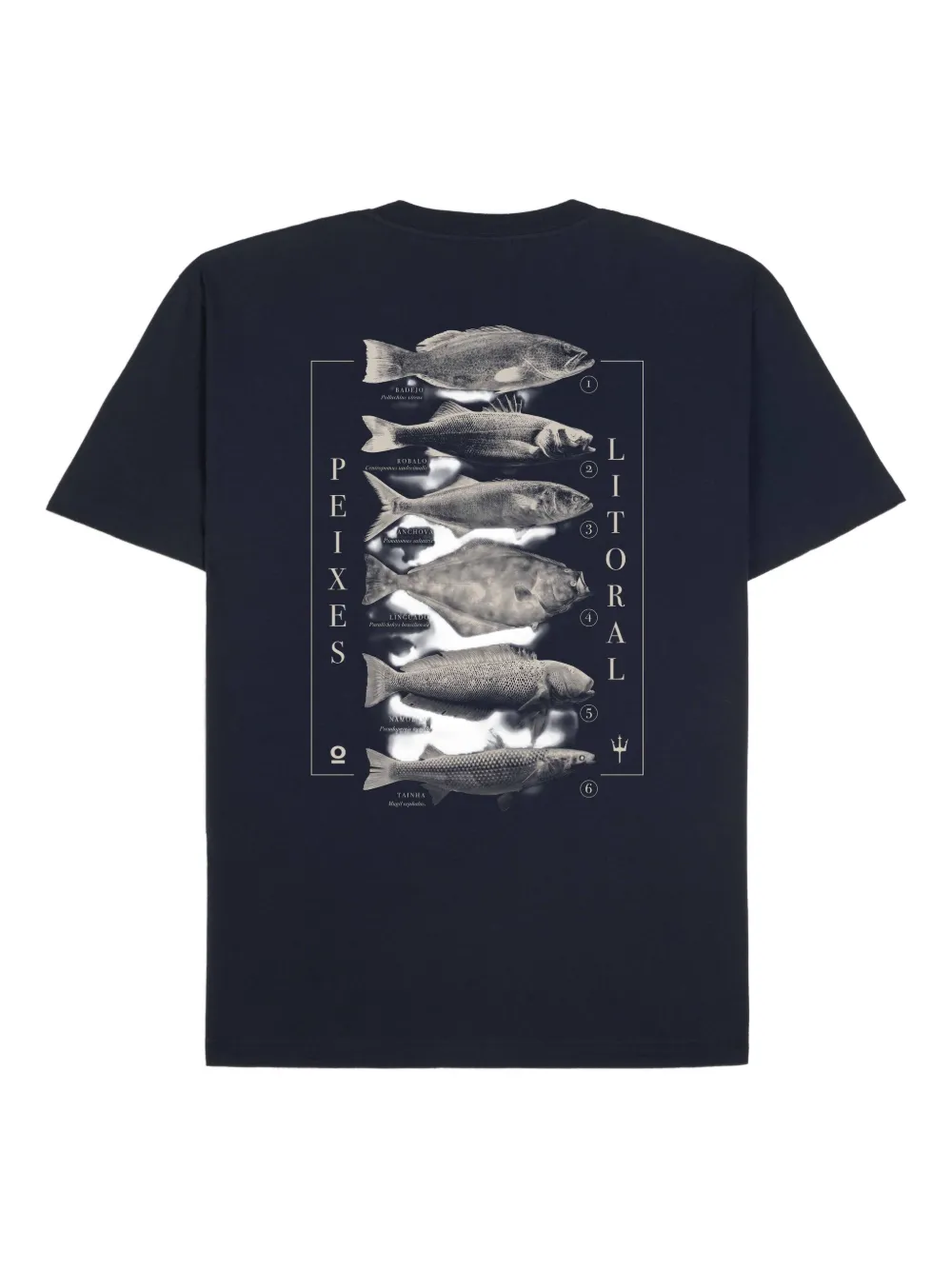 Osklen playera Peixes do Litoral | Playeras | Image 2