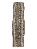 Michael Michael Kors snakeskin-print midi dress - Neutrals