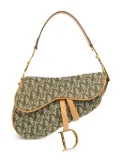 Christian Dior Pre-Owned 2001 Trotter Saddle shoulder bag - Green