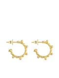 TOUS Bold Bear beaded hoop earrings - Gold