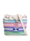 CHANEL Pre-Owned 2019 Mixed Fibers and Aged Calfskin Venise Biarritz bucket bag - White