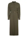 Weekend Max Mara Clown belted shirt dress - Green