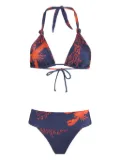 Brigitte graphic-print bikini - Blue