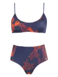 Brigitte coral-print bikini - Blue