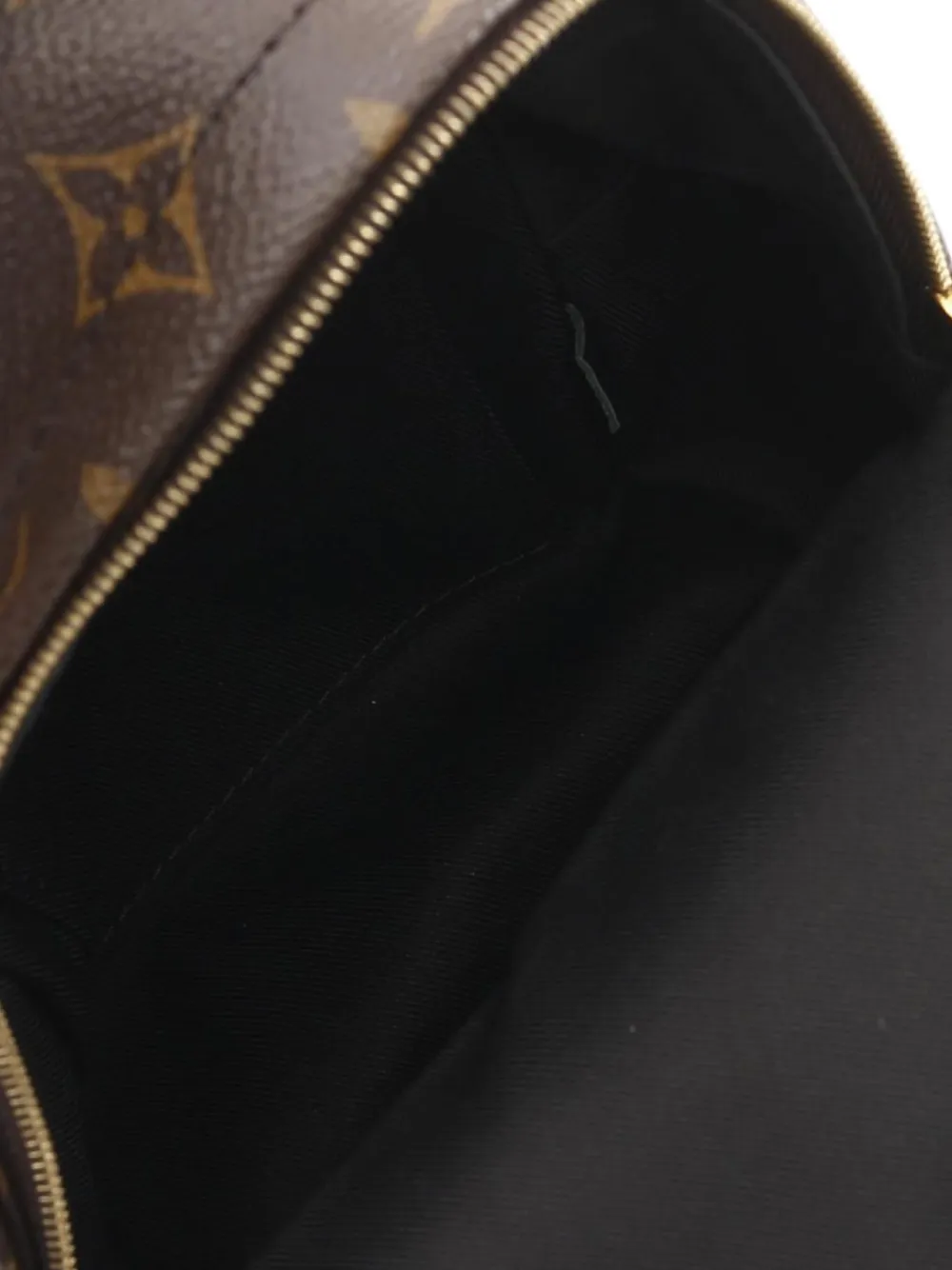 Pre-owned Louis Vuitton 2020 Palm Springs Backpack