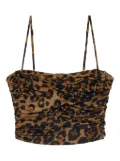 Blumarine ruched leopard-print cropped top - Brown