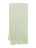 Maria Lucia Hohan silk scarf - Green