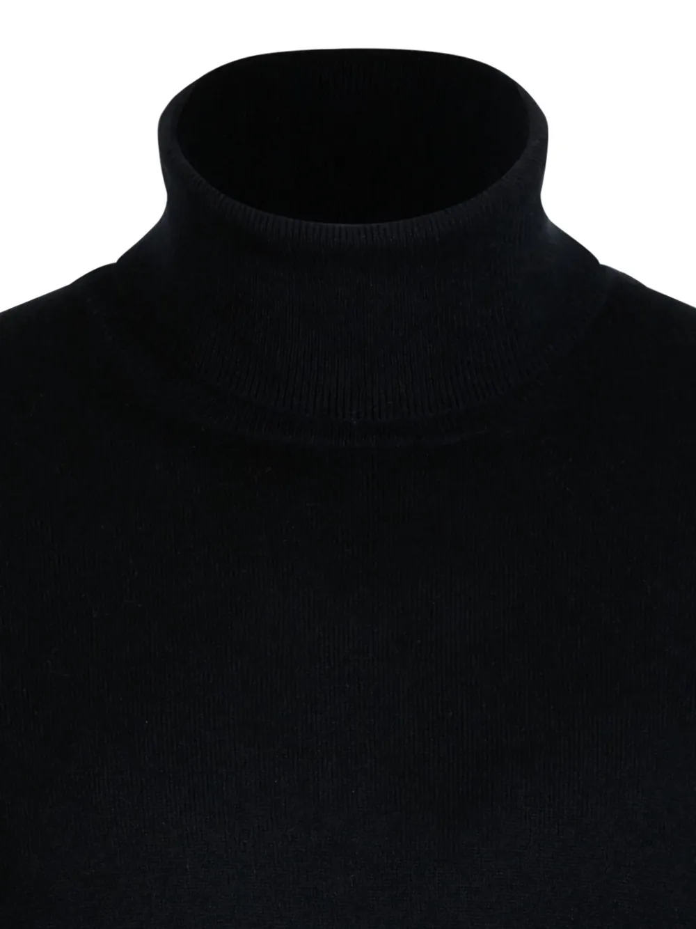 Gran Sasso Turtleneck Sweater In Black