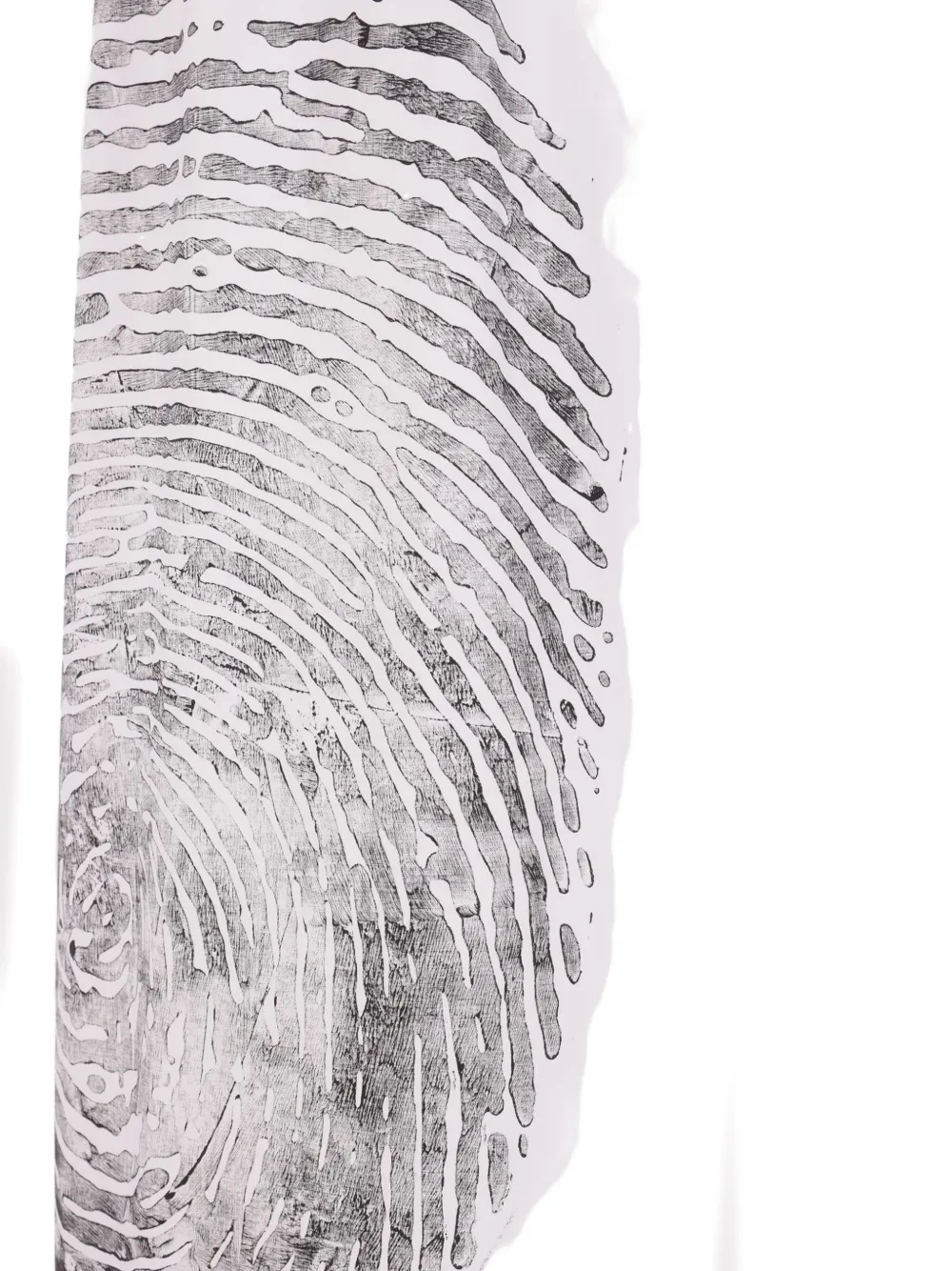 Maria Calderara printed skirt Wit