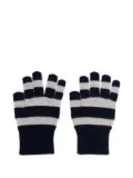 KINDRED Kenji gloves - Blue