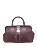 Louis Vuitton Pre-Owned 2003 Suhali Lingenieux PM handbag - Purple