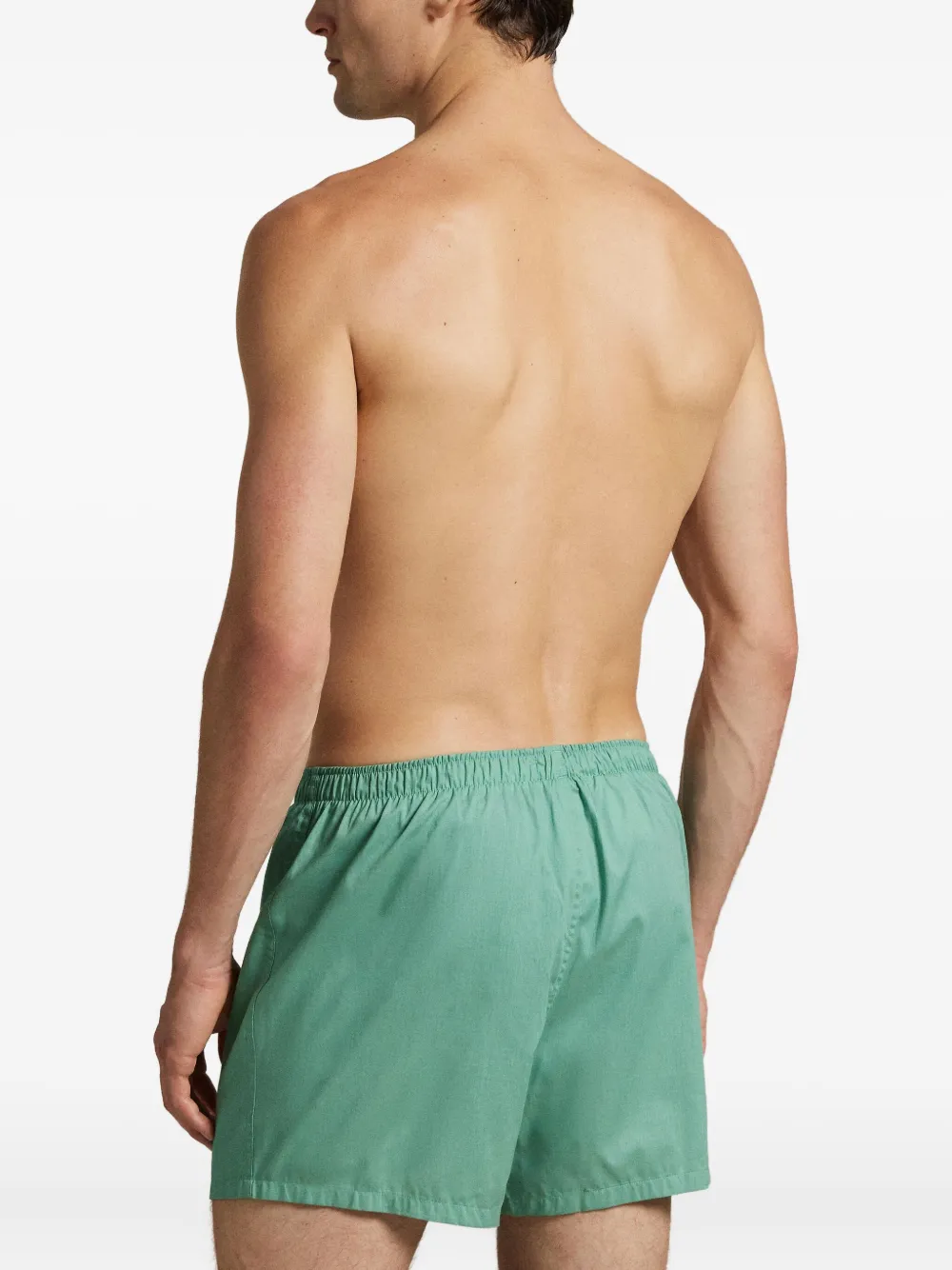 Polo Ralph Lauren Twee katoenen boxershorts Groen