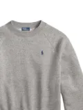 Polo Ralph Lauren raglan-sleeve crew-neck sweatshirt - Grey