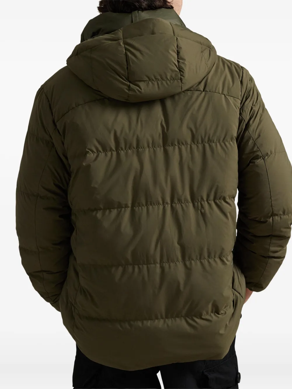 Polo Ralph Lauren Jas met capuchon Groen