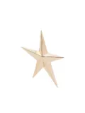 Mugler star-shaped earrings - Gold