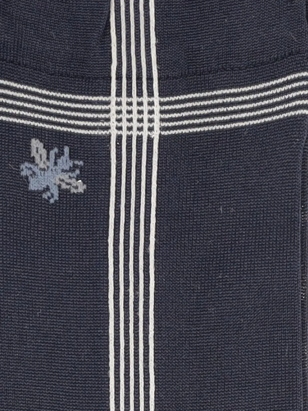  Antipast Embroidered Striped Socks - Blue 