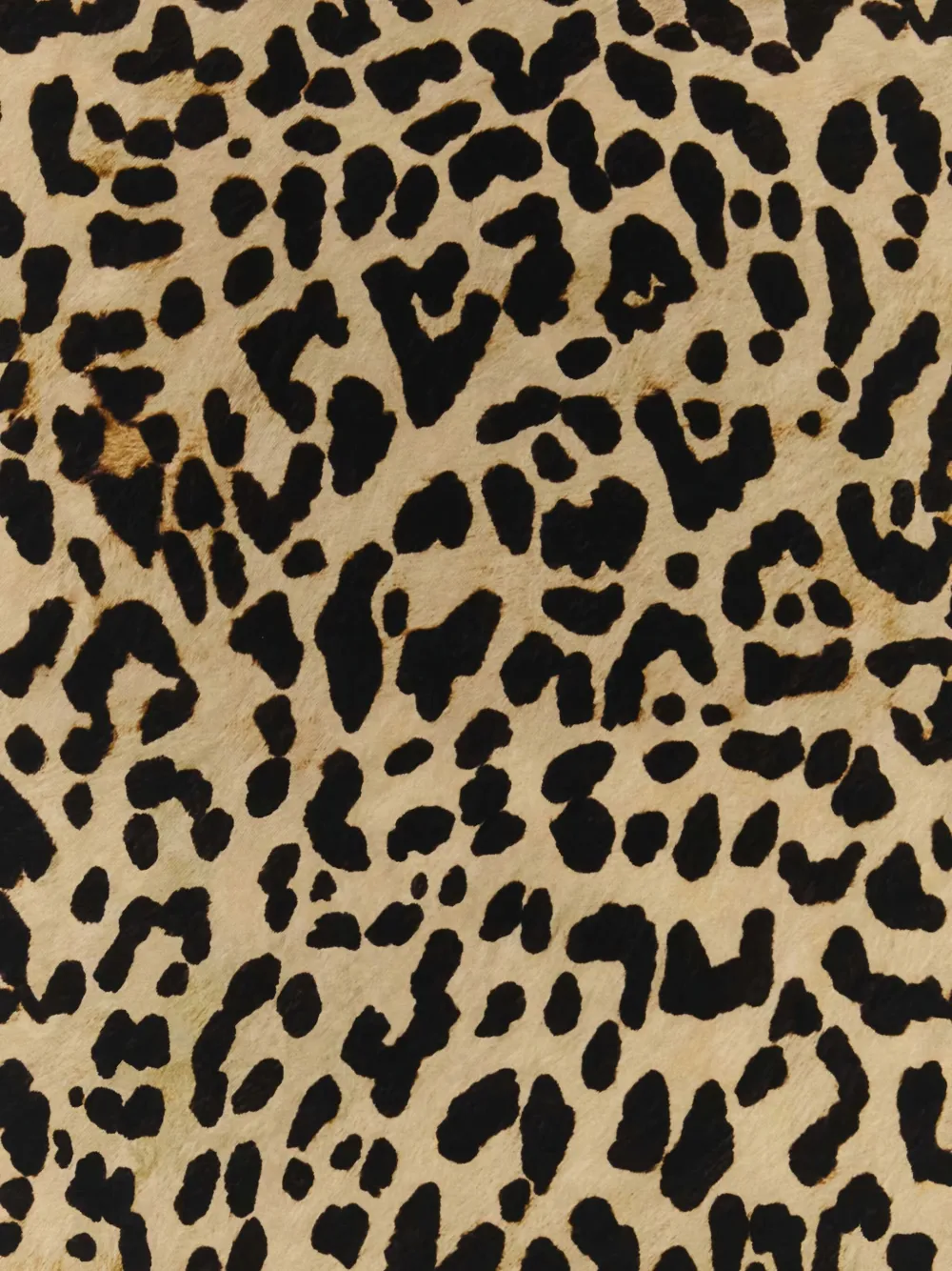 Valentino Garavani Sjaal met luipaardprint Bruin