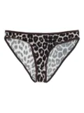 Baserange leopard print briefs - Black