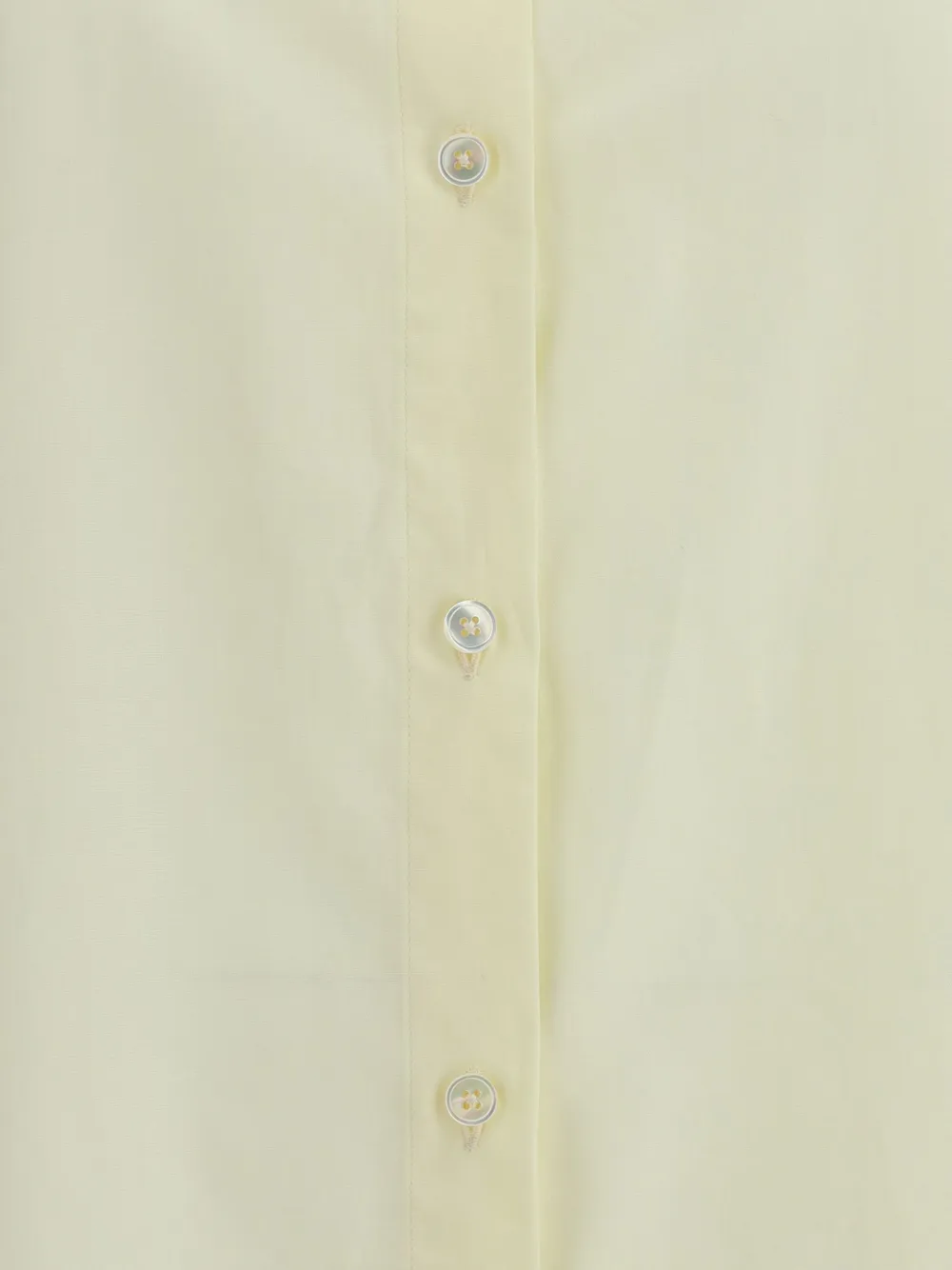 Cruna Classic-collar Button-front Shirt In Neutral