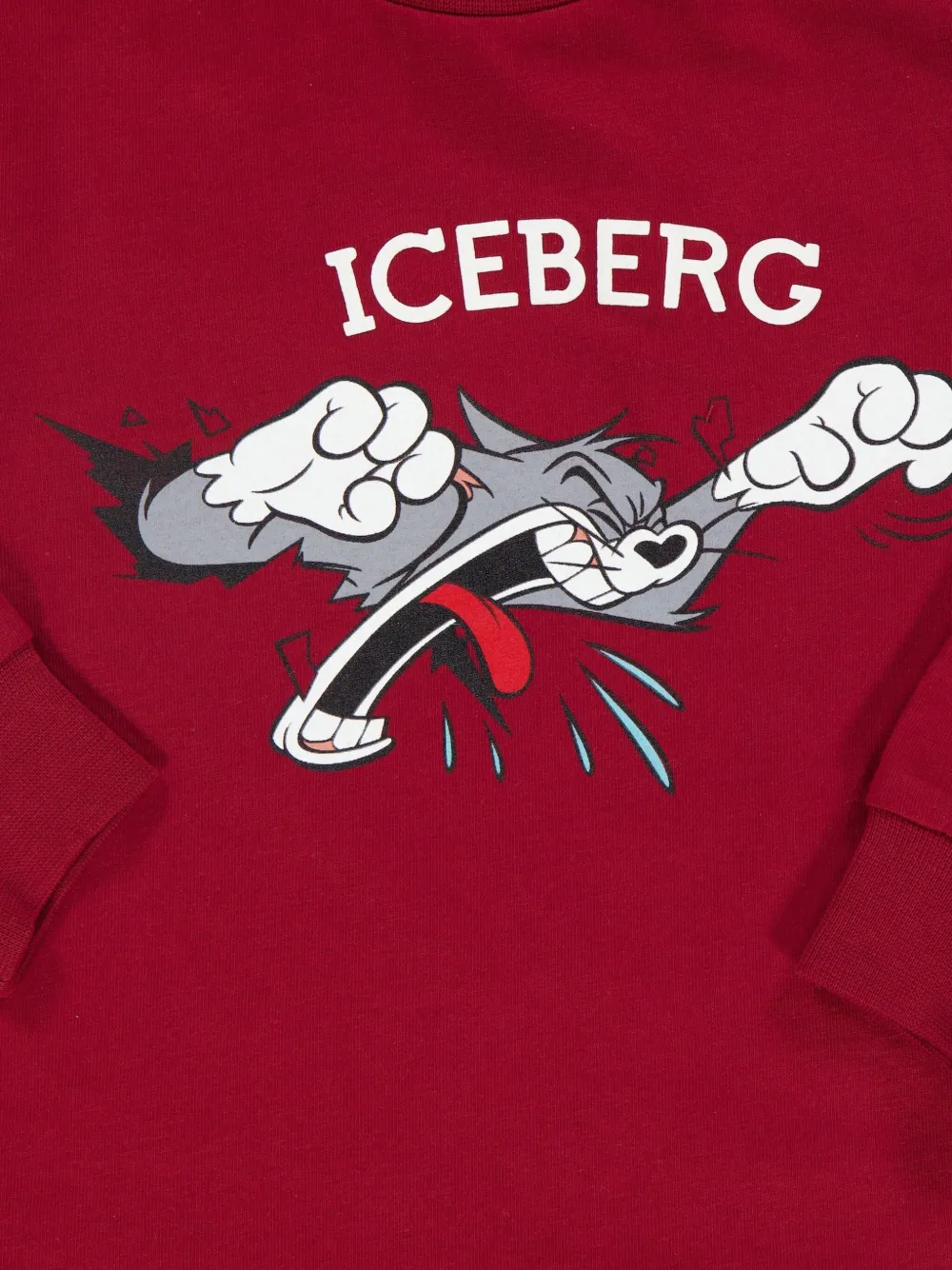 Iceberg Kids Trui met lange mouwen Rood
