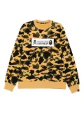 Mastermind Japan x A Bathing Ape long-sleeved sweatshirt - Brown