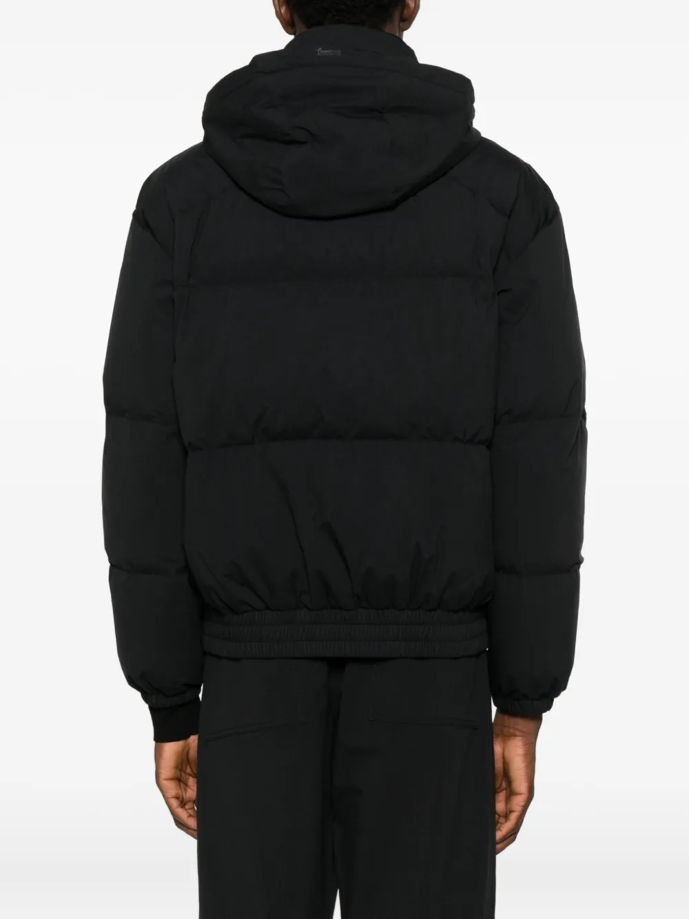 Laminar Gewatteerd jack met capuchon Zwart