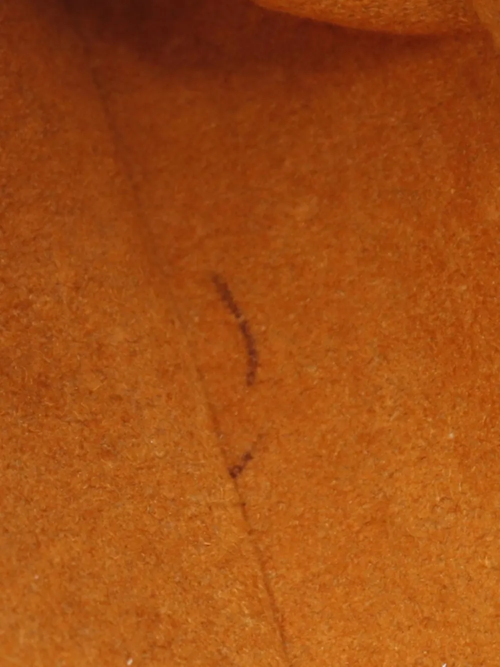 Louis Vuitton Pre-Owned 2000 Musette Tango schoudertas Bruin