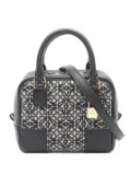 Loewe Pre-Owned 2010s Amazona 16 handbag - Black