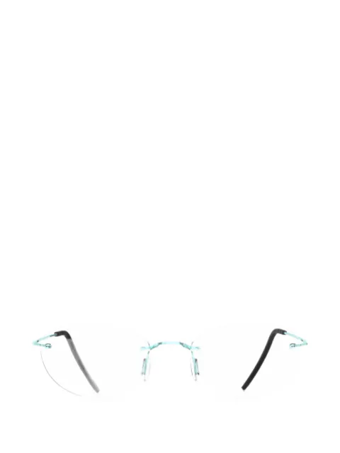 Blackfin loop aeroloop glasses