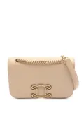 Céline Pre-Owned 2010s Triomphe shoulder bag - Neutrals