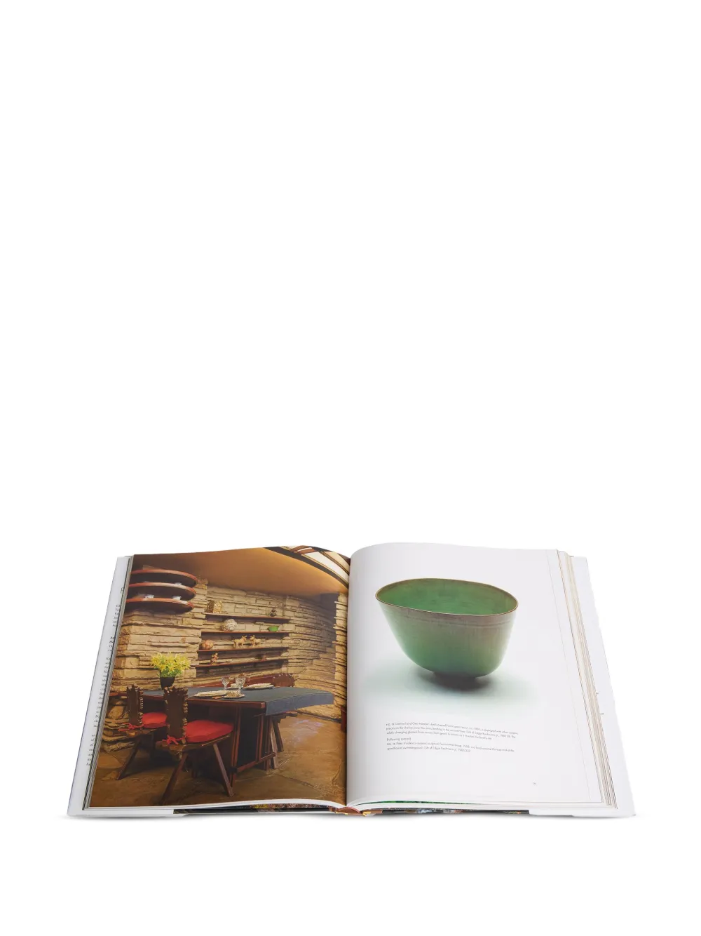 Rizzoli Fallingwater: Living With And In Art book | Coffee Table Books | Image 2