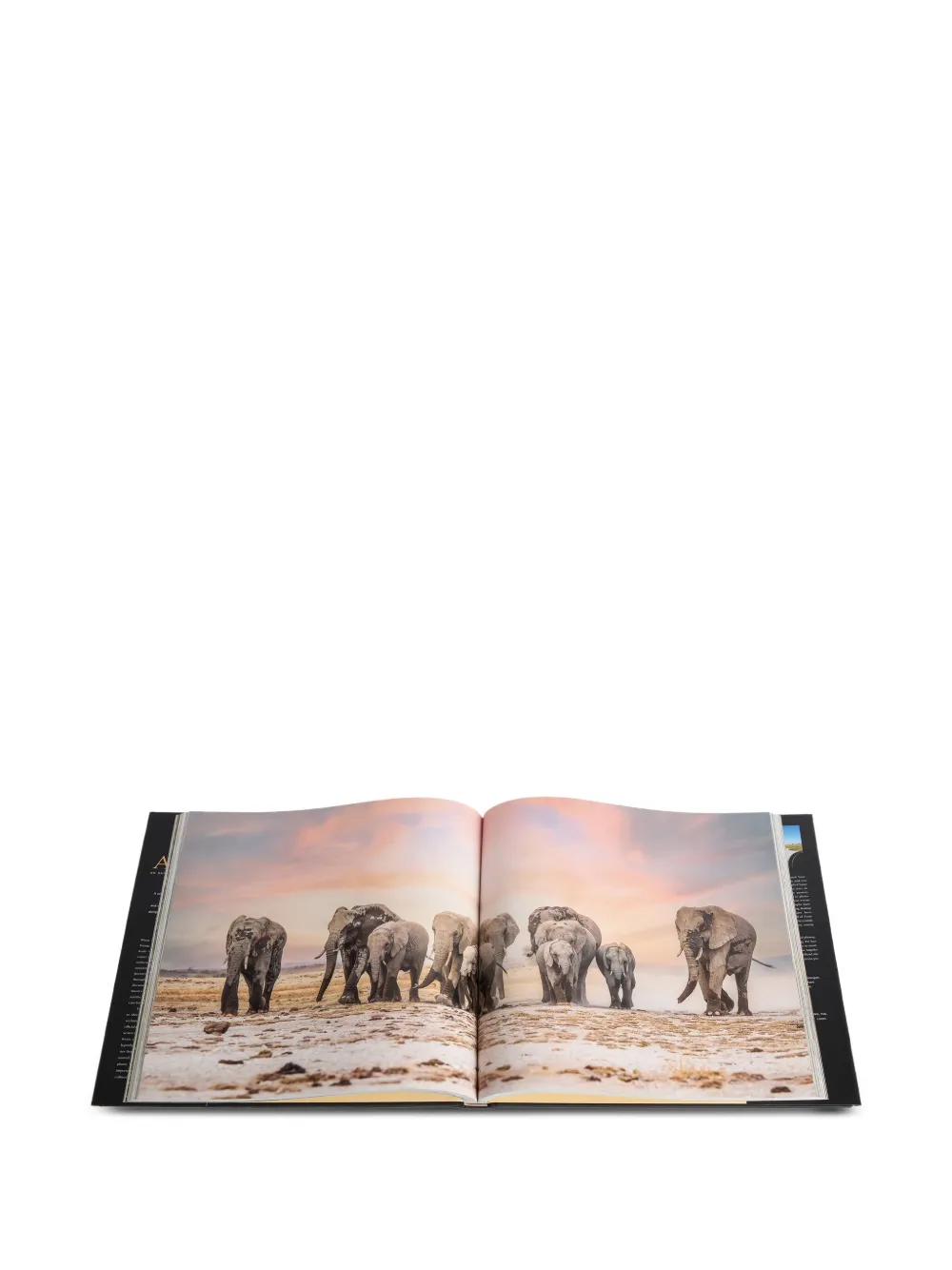 Rizzoli Experiencing Africa: On Safari The People The Land book | Coffee Table Books | Image 2