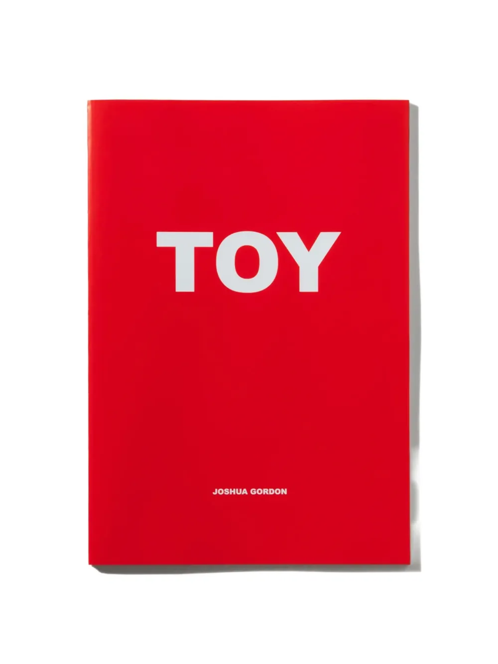 Perks And Mini Toy book | Notebooks & Planners | Image 2