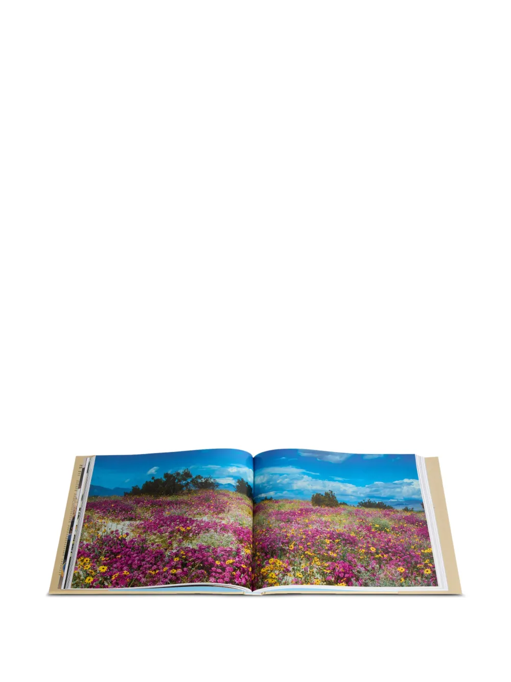 Rizzoli The Palm Springs School: Desert Modernism book | Coffee Table Books | Image 2