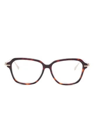 Megane and Me