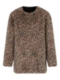 Emporio Armani leopard print double-breasted coat - Brown