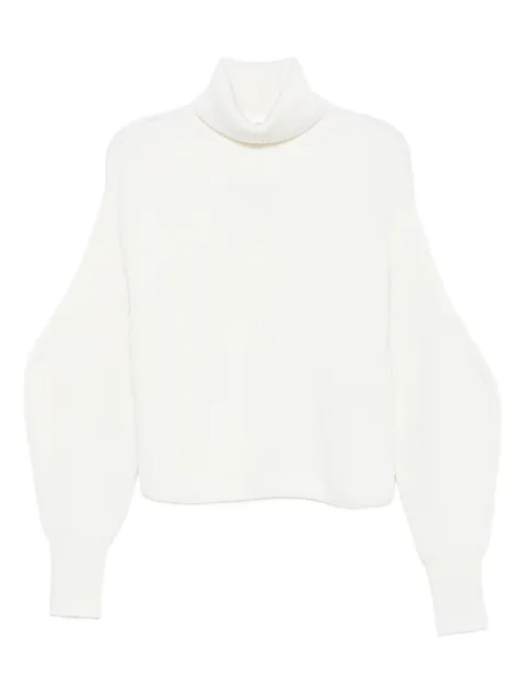 P.A.R.O.S.H. roll-neck ribbed sweater