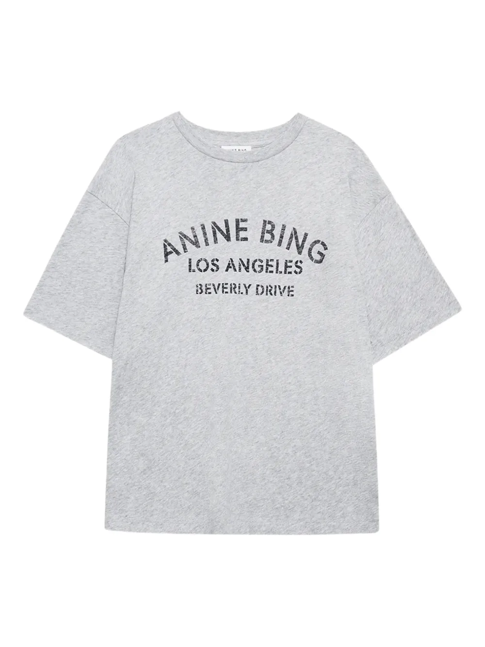 Anine Bing Cohen Graphic-print T-shirt In Gray