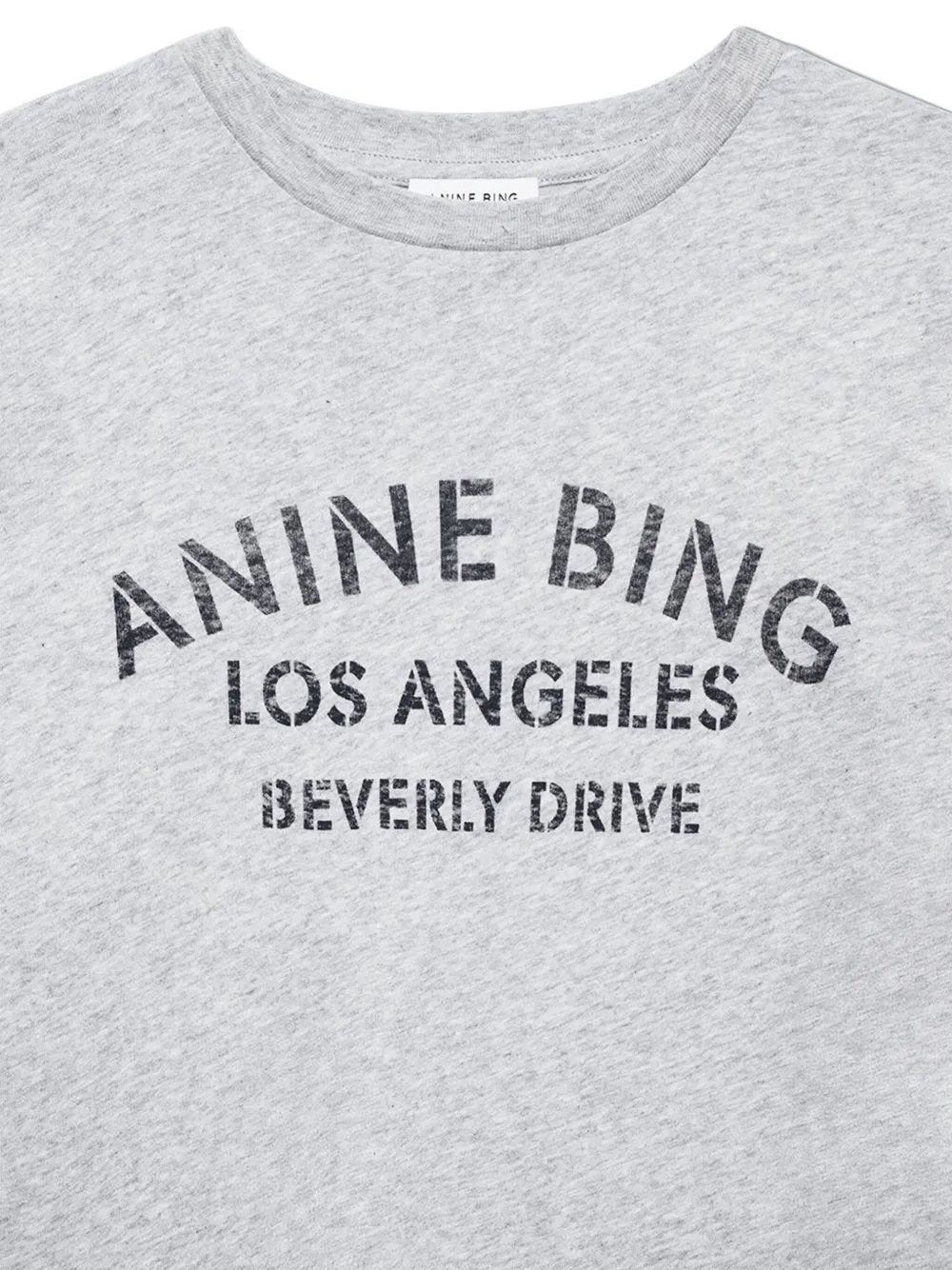 Anine Bing Cohen Graphic-print T-shirt In Gray