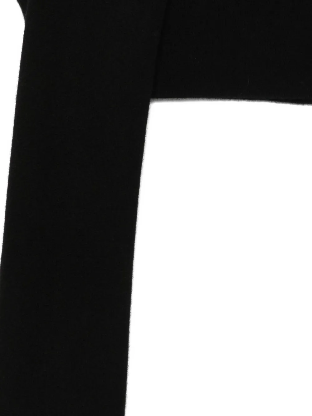 Totême Toteme Cashmere Sleeved Scarf In Black