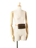 Louis Vuitton Pre-Owned 2000-2025 Monogram Pochette Florentine belt bag - Brown