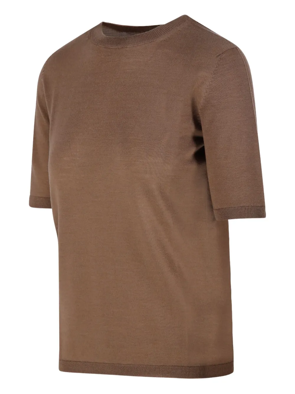 Max Mara Short-sleeve Virgin Wool Sweater With Classic Round Neckline In Brown