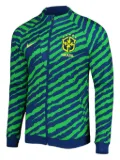 Nike Brazil Academy Pro Anthem ""Fifa World Cup 22"" sweatshirt - Green