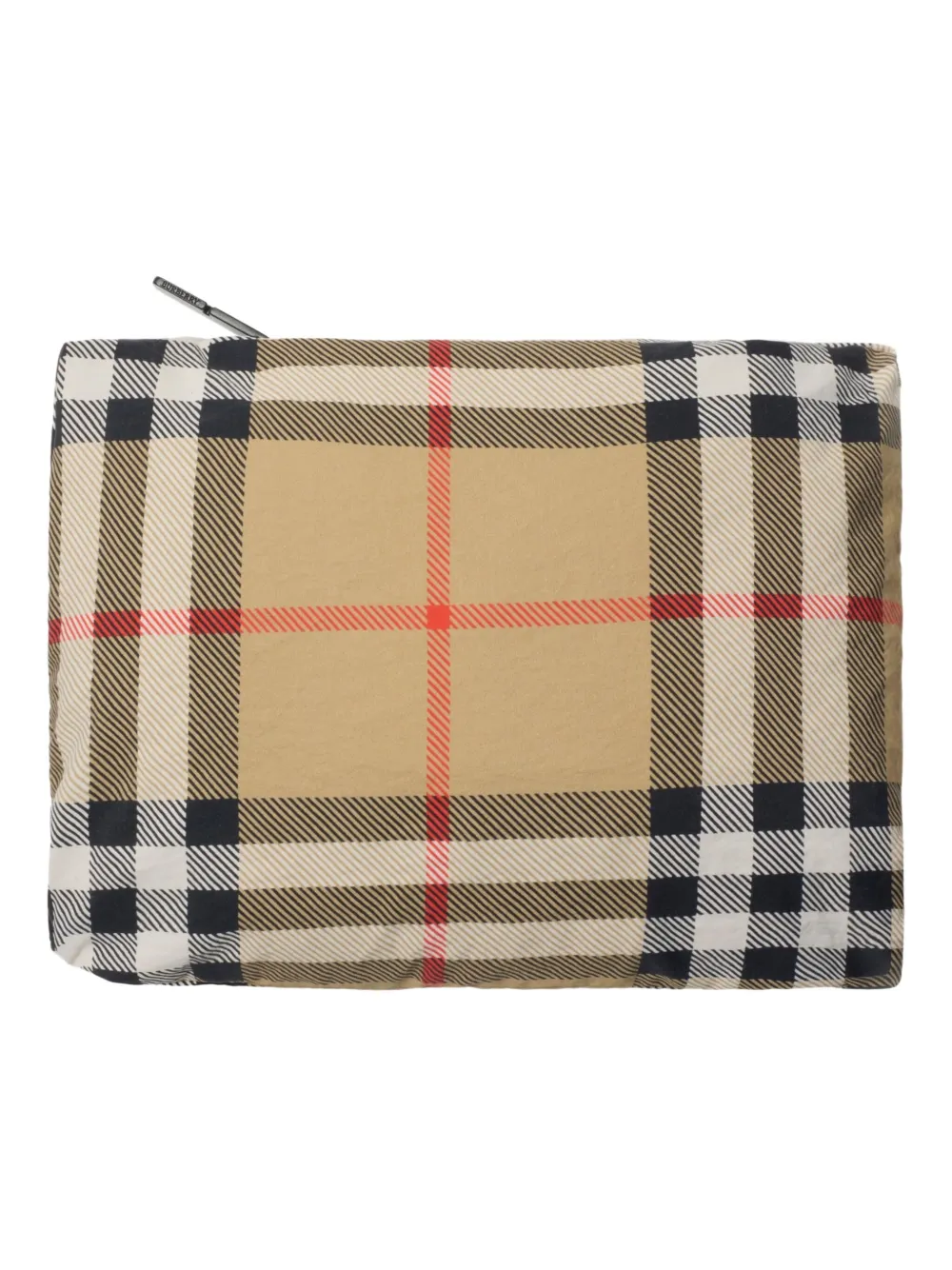Burberry Kids Jack met capuchon Bruin