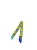 Hermès Pre-Owned 2000-2025 La Maison Des Carres Silk Twilly Scarf scarves - Green