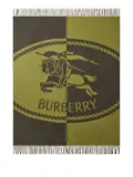 Burberry wool blanket - Green