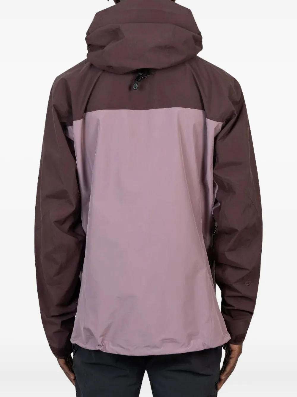 Arc'teryx Beta Ar Hooded Jacket In Brown