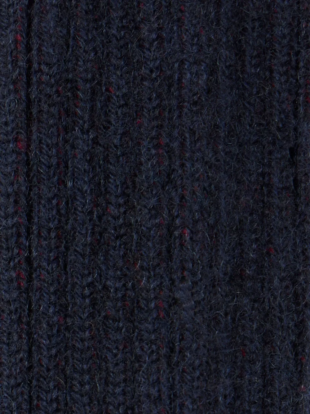 ETRO Geribbelde sokken Blauw